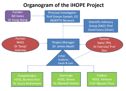 Organogram and Project Team | INDEPTH Network