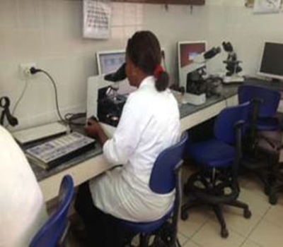 INDEPTH Effectiveness and Safety Studies of Anti-malarial Drugs in Africa (INESS)